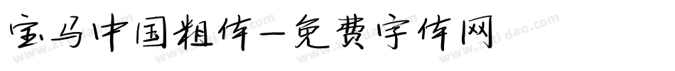 宝马中国粗体字体转换