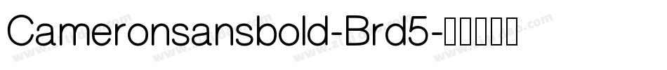 Cameronsansbold-Brd5字体转换