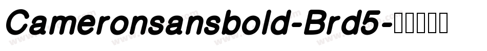Cameronsansbold-Brd5字体转换