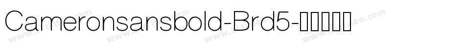 Cameronsansbold-Brd5字体转换