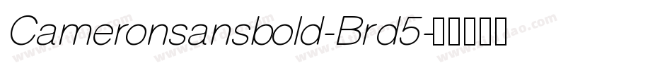 Cameronsansbold-Brd5字体转换