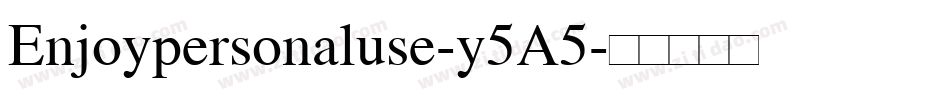 Enjoypersonaluse-y5A5字体转换