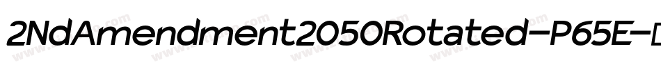 2NdAmendment2050Rotated-P65E字体转换