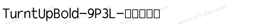 TurntUpBold-9P3L字体转换