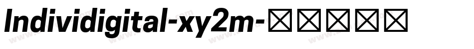 Individigital-xy2m字体转换 Individigital-xy2m字体转换