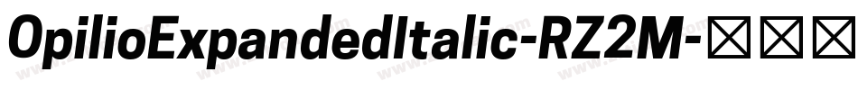 OpilioExpandedItalic-RZ2M字体转换 OpilioExpandedItalic-RZ2M字体转换