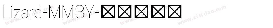 Lizard-MM3Y字体转换