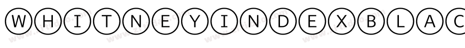 WhitneyIndexBlack-RoundMd字体转换