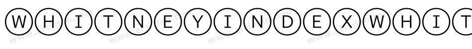 WhitneyIndexWhite-RoundLt2字体转换