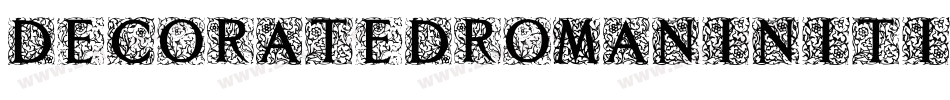DecoratedRomanInitials-p7mO字体转换