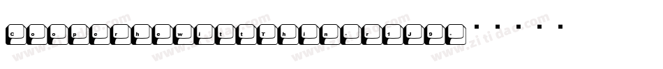 CooperhewittThin-r1J9字体转换