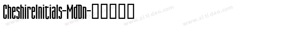 CheshireInitials-MdDn字体转换