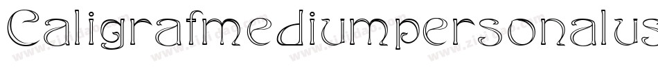 Caligrafmediumpersonaluse-ZVJ6J字体转换