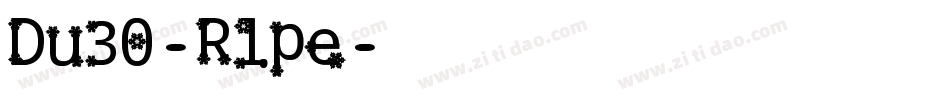 Du30-Rlpe字体转换