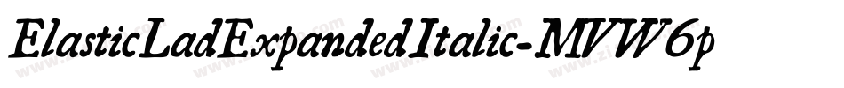 ElasticLadExpandedItalic-MVW6p字体转换