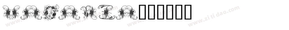 VAGANZA字体转换