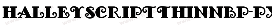 Halleyscriptthinnbp-px2K字体转换