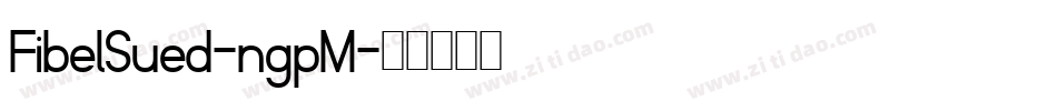 FibelSued-ngpM字体转换