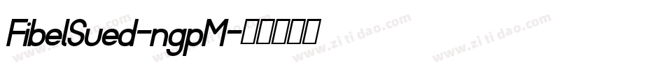 FibelSued-ngpM字体转换