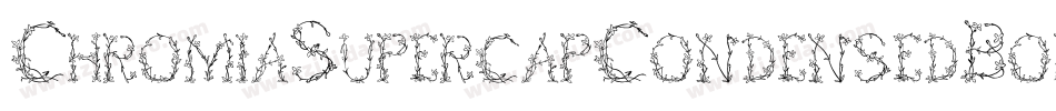 ChromiaSupercapCondensedBoldItalic-YWzL字体转换