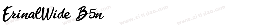 ErinalWide-B5n字体转换