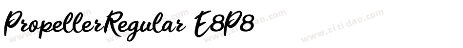 PropellerRegular-E8P8字体转换