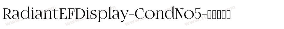RadiantEFDisplay-CondNo5字体转换