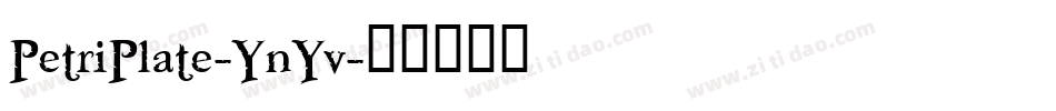 PetriPlate-YnYv字体转换