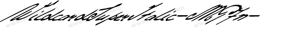 WildcardSuperItalic-MP7n字体转换