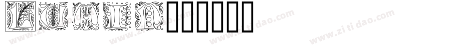 Lumin字体转换