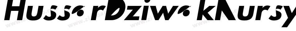 HussarDziwakKursywa-zeM0字体转换