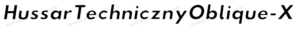 HussarTechnicznyOblique-XeLa字体转换