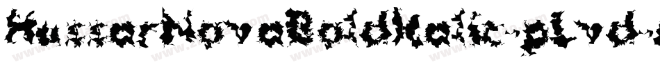 HussarNovaBoldItalic-pLvd字体转换