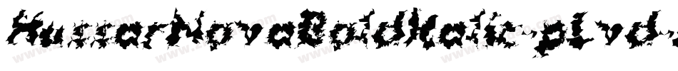 HussarNovaBoldItalic-pLvd字体转换