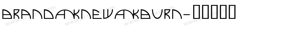 brand_new_burn字体转换