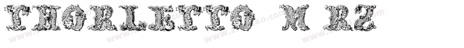 Thorletto-8M8Rz字体转换 Thorletto-8M8Rz字体转换