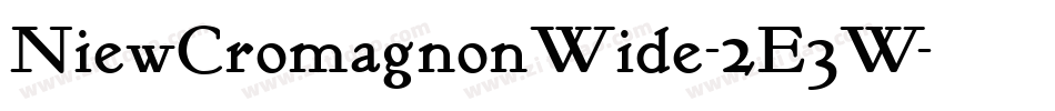 NiewCromagnonWide-2E3W字体转换