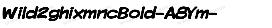 Wild2ghixmncBold-A8Ym字体转换 Wild2ghixmncBold-A8Ym字体转换
