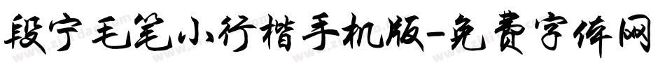 段宁毛笔小行楷手机版字体转换