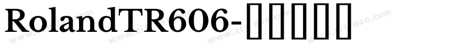 RolandTR606字体转换