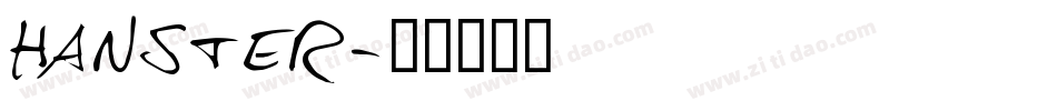 Hanster字体转换