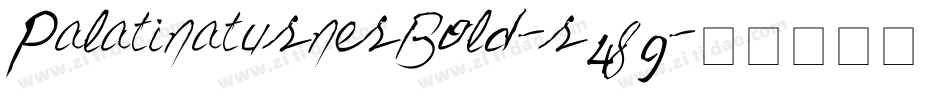PalatinaturnerBold-r4g9字体转换 PalatinaturnerBold-r4g9字体转换