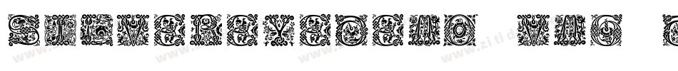 SilverEyeDemo-vmg1D字体转换