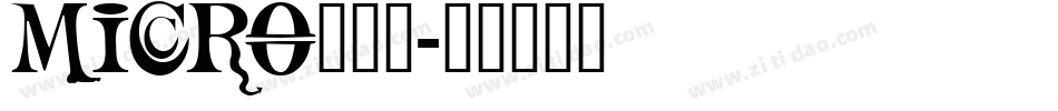 MICRO___字体转换