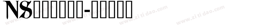 NS______字体转换