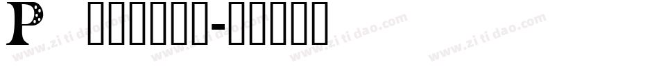 Pa______字体转换