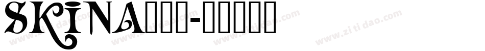 SKINA___字体转换