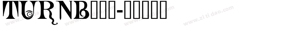 TURNB___字体转换