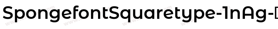 SpongefontSquaretype-1nAg字体转换