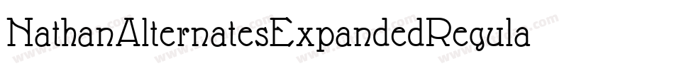 NathanAlternatesExpandedRegular-p9py字体转换